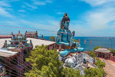 Kandy: Trincomalee Guided Cultural Heritage & Coastal Tour