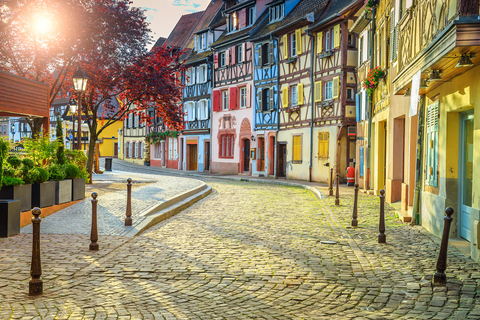 The 4 Wonders of Alsace Day Tour from Colmar