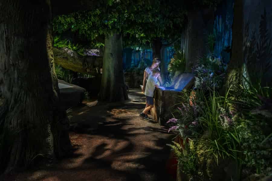 Berlin: Deutschlandmuseum - Flexible Eintrittskarte. Foto: GetYourGuide