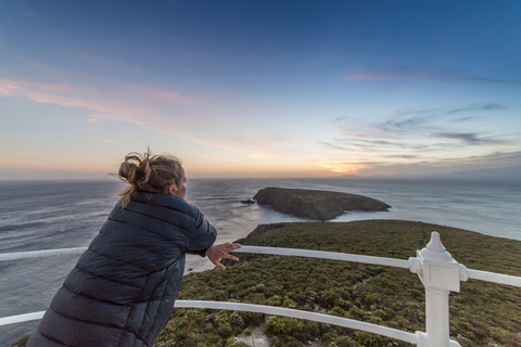 Bruny Island Day Tour: Exclusive Lighthouse and Local Food