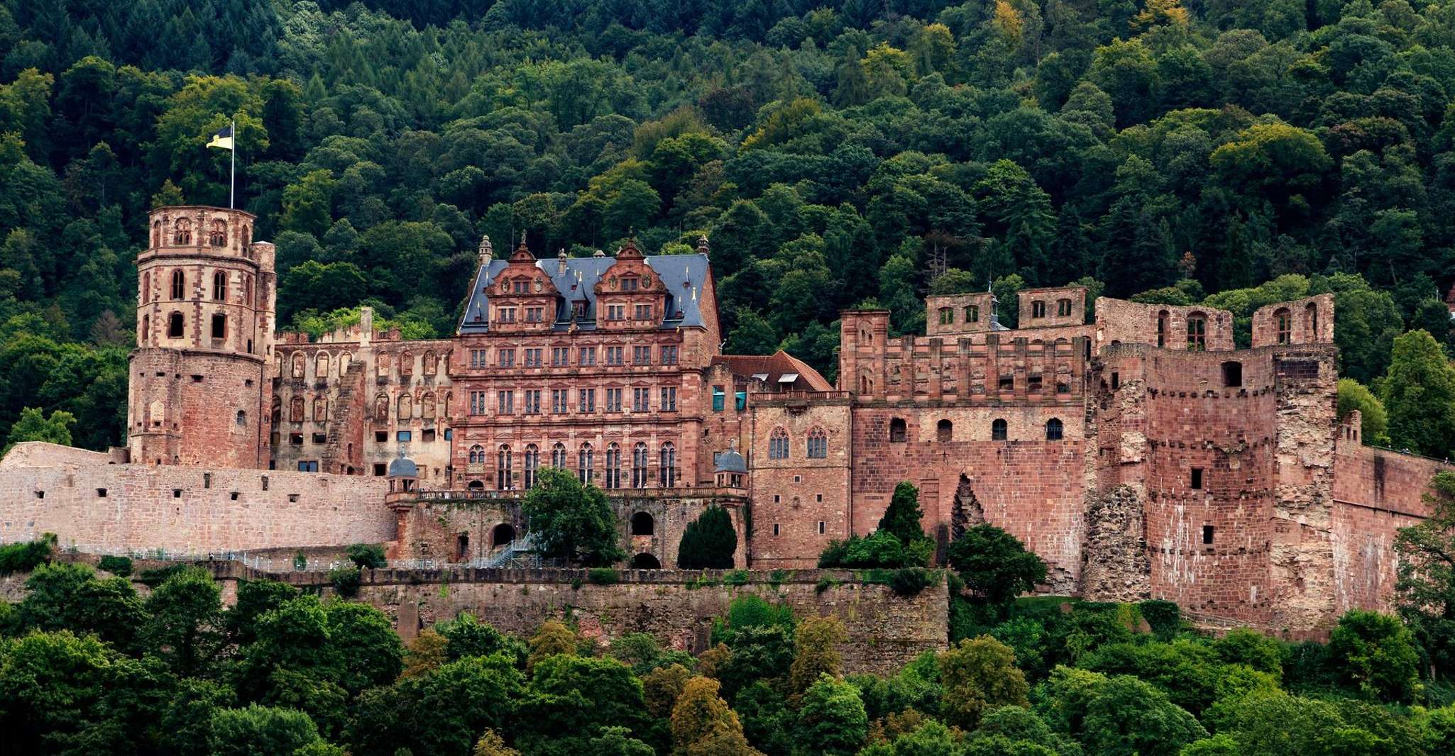 Heidelberger Schloss und Altstadt private Führung - Hizvo