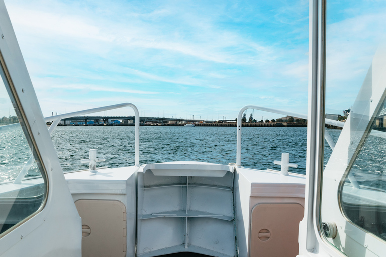 Adelaide: Port River Dolphin en Ships Graveyard Cruise