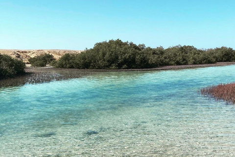 Sharm: Ras Mohammed halvdagsutflykt med buss &amp; Allahs port