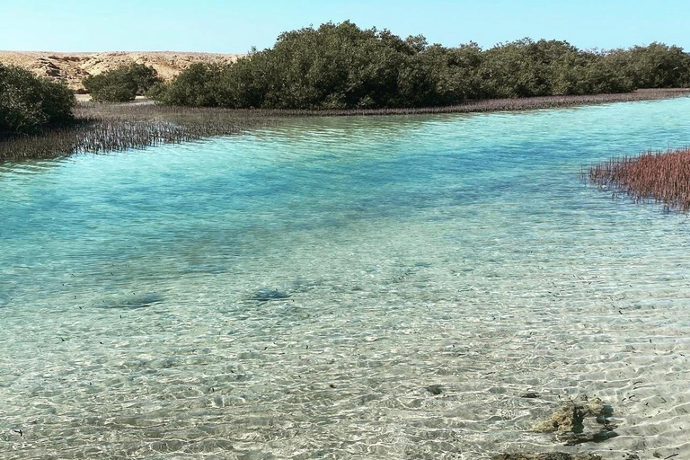 Sharm: Ras Mohammed Tour de medio día en autobús y la puerta de Alá