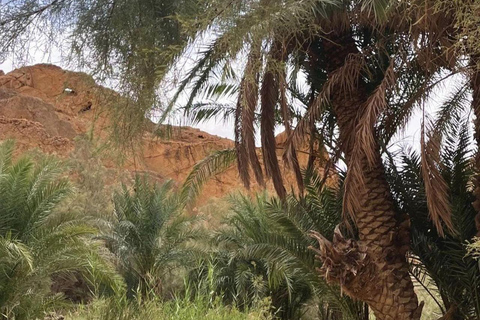 From Tunis: Sahara Camp and Ruins 3-Day Private Desert Tour