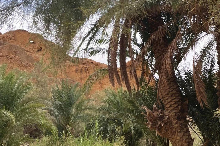 From Tunis: Sahara Camp and Ruins 3-Day Private Desert Tour