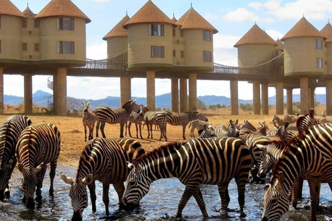 2 JOURS AU SANCTUAIRE DES JEUX DE TAITA HILLS