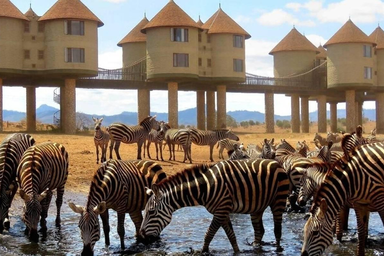 2 JOURS AU SANCTUAIRE DES JEUX DE TAITA HILLS