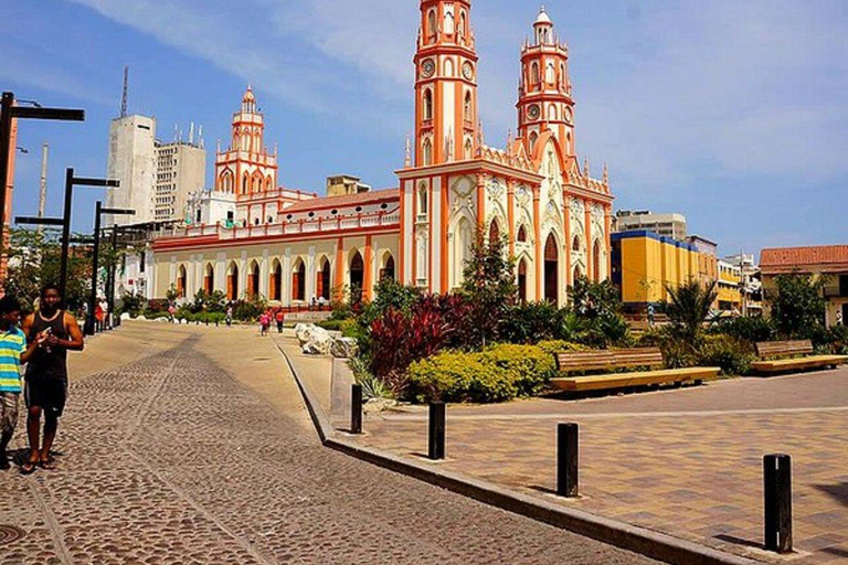Check out the Mallorking Swamp Ecopark + the Magdalena River Mouth View of the Mallorking Ecopark + view of the Magdalena River mouth