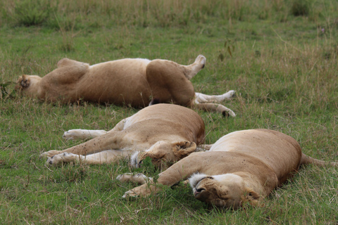 Tarangire National Park: 2-Day Flying Safari