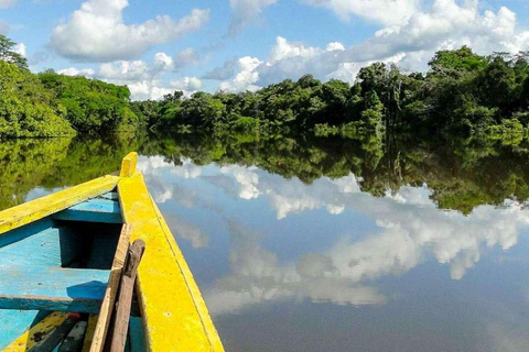 4 Day Amazon River Cruise