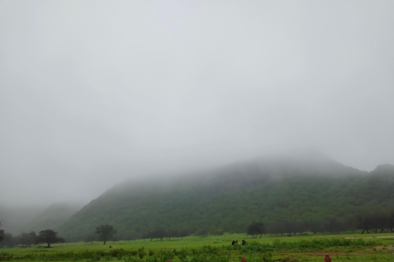 Salalah: Private Jebel Safari Khareef Monsoon Tour
