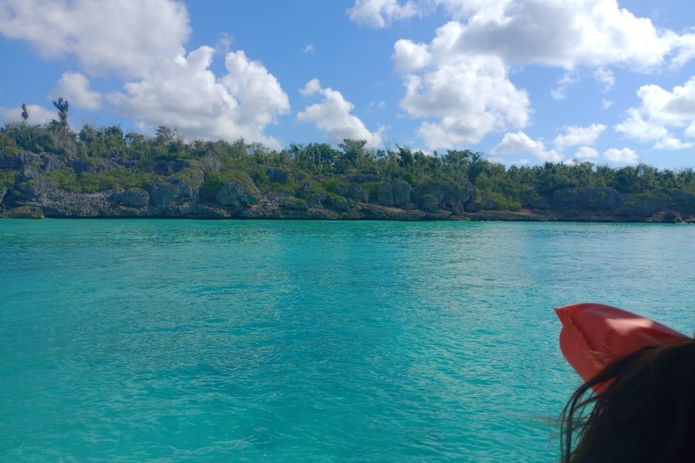 Wyspa Saona: Wycieczka z najważniejszymi atrakcjami katamaranem i łodzią motorowąWyspa Saona: najważniejsze atrakcje wycieczki katamaranem i łodzią motorową
