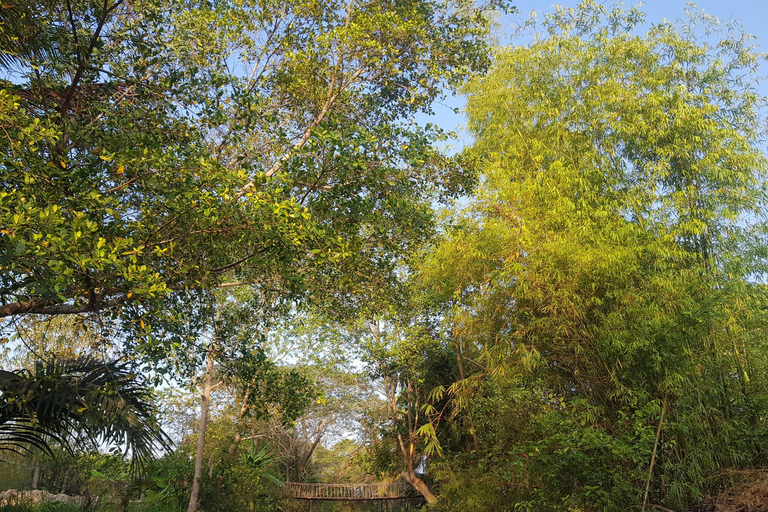 Excursão particular de meio dia - Mercado flutuante de Cái RăngExcursão particular de meio dia - Mercado flutuante de Cai Răng