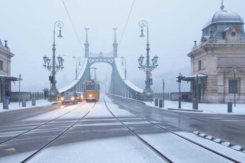 Vienna: Bratislava and Budapest Day Trip with Guide