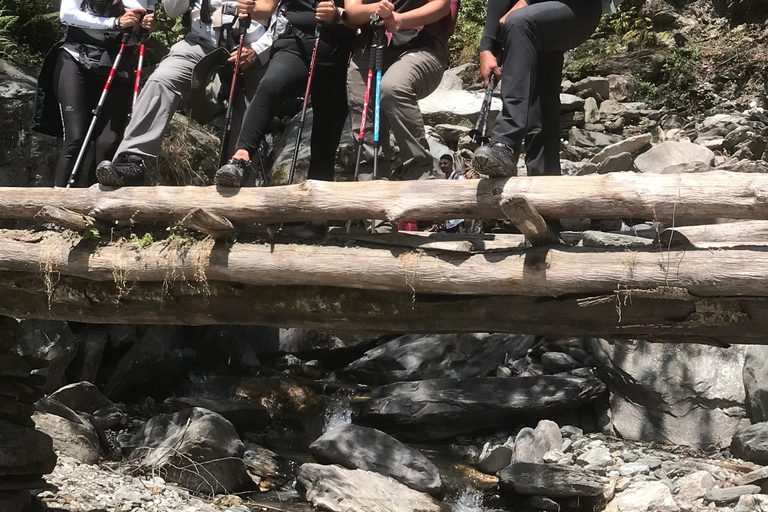 Poon hill Trek 1 Night 2 Days