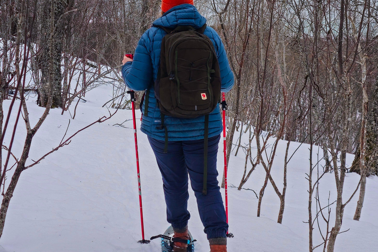 Tromsø Street to Wilderness: Guided Snowshoe Hike
