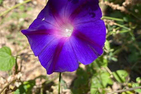 Goreme: Private Guide – Explore at Your Own Pace