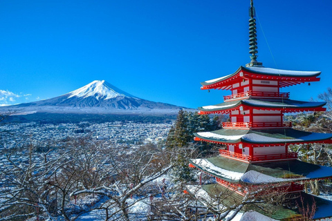 2 Days Tokyo & Mt Fuji Customizable tour with English Driver