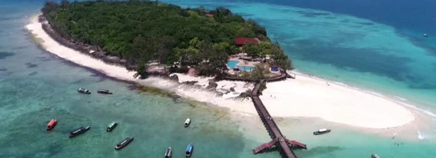 Visite de l'île Prison – Histoire, nature et tortues géantes !