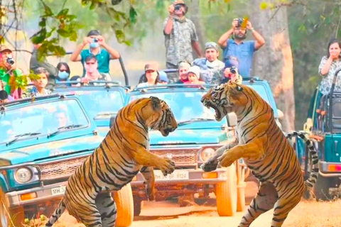 Från Jaipur: Ranthambore Tiger Safari dagsutflykt