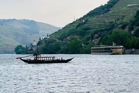 Viagem ao Vale do Douro: 4 cidades e vinícola com tudo incluído