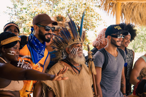 Punta Cana: Buggies, Zipline, Horses & Cenote Swim Combo