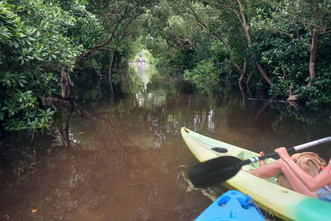 jozani forest and kayak tour at Uzi island