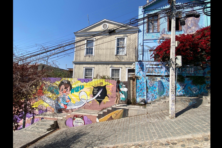 Valparaíso & Viña: Coastal Experience & Kayak