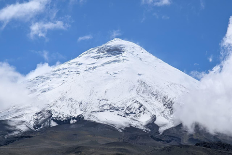 Quito: Cotopaxi National Park and Equator Line Tour Private Tour