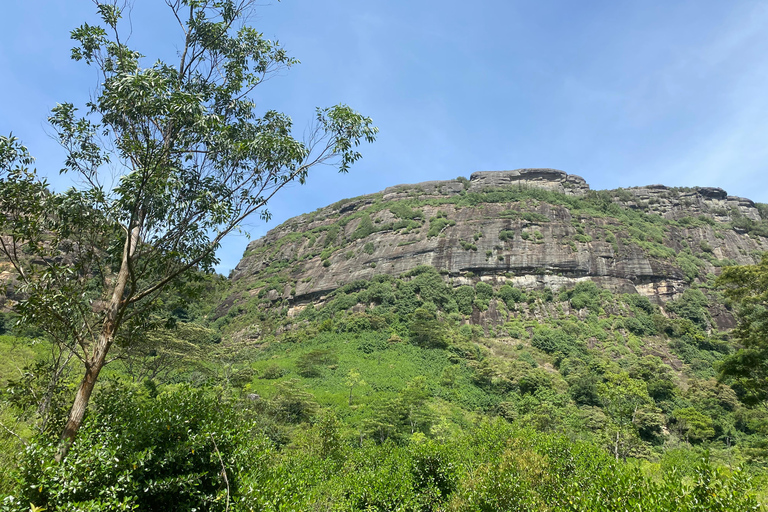 LOCATION: Hanthana to Galaha Pekoe Trail Stage 01 Trek Pekoe Trail Stage 01 -Hanthana to Galaha Tracking