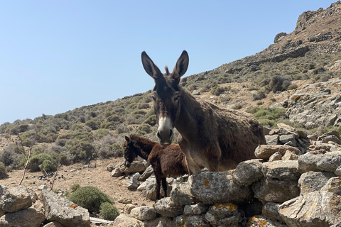 Private Mykonos Tour Tailor-Made | Choice of the guest 2-Hour Private customized tour