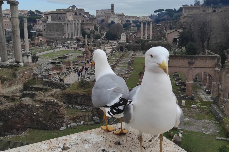 Rome: Private Customizable Tour in an Electric Golf Cart