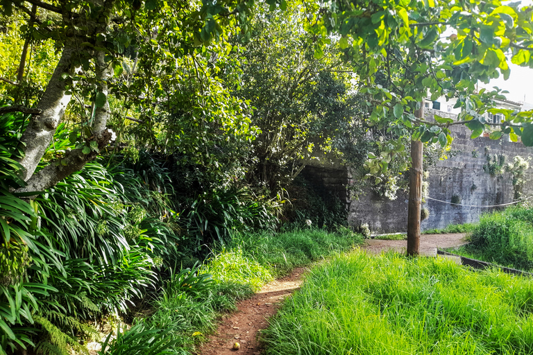 Van Funchal: zonsopgang bij Pico do Arieiro met ontbijtGedeelde rondleiding