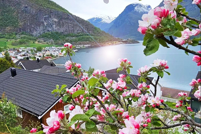 Tour guiado particular para Oslo Nærøyfjord Cruise &amp; Flåm Railway