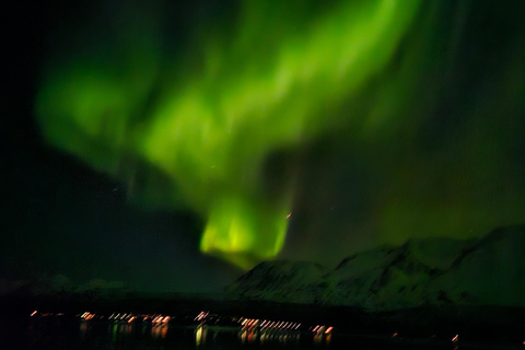 Tromsø:Tour de la aurora boreal en minibús por Tromsø