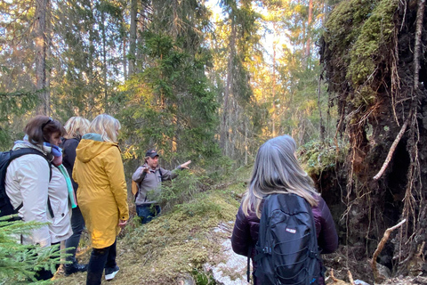 Rastreo de lobos y fauna salvaje en Suecia