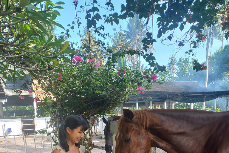 Bali : Beach Horse Riding Experience & Hidden Waterfall Beach Horse Riding Experience + Hidden Waterfall