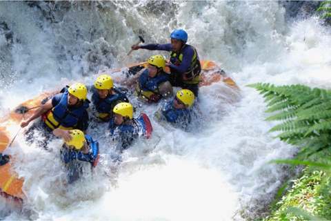 Bali: rafting en aguas bravas, bosque de los monos y puesta de sol en Tanah Lot