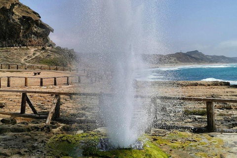 Salalah | Plaża Fazayah, plaża Mughsail i drzewa kadzidłowca