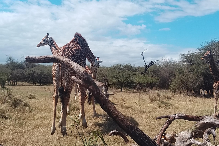 Mombasa: Wildlife Sanctuary Guided Nature Trail Tour Wildlife Sanctuary Guided Nature Trail Tour