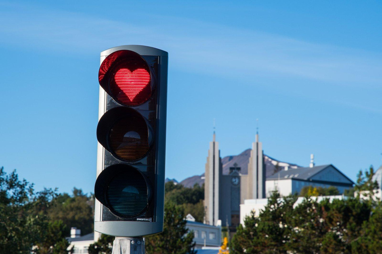 Reykjavik: 8-Day Iceland Ring Road Guided Small Group Tour