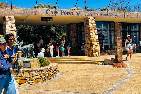 Robben Island, Penguins & Cape of Good Hope Adventure