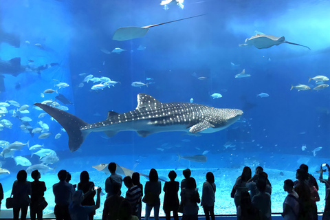 Kyoto, Nara, or Osaka: Private Day Trip with Guide and Car