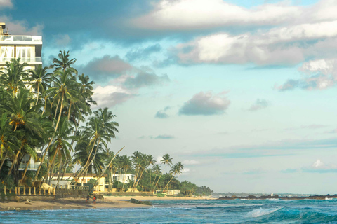 De Colombo: Excursão de 10 dias ao Sri Lanka com guia e hotel