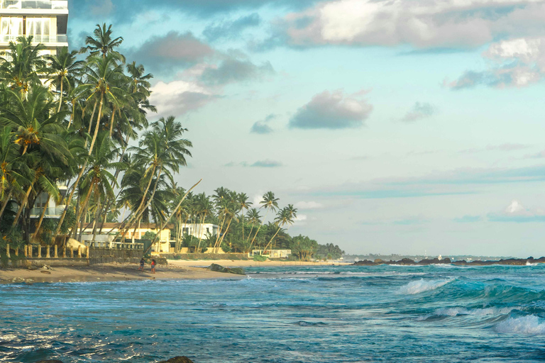 De Colombo: Excursão de 10 dias ao Sri Lanka com guia e hotel