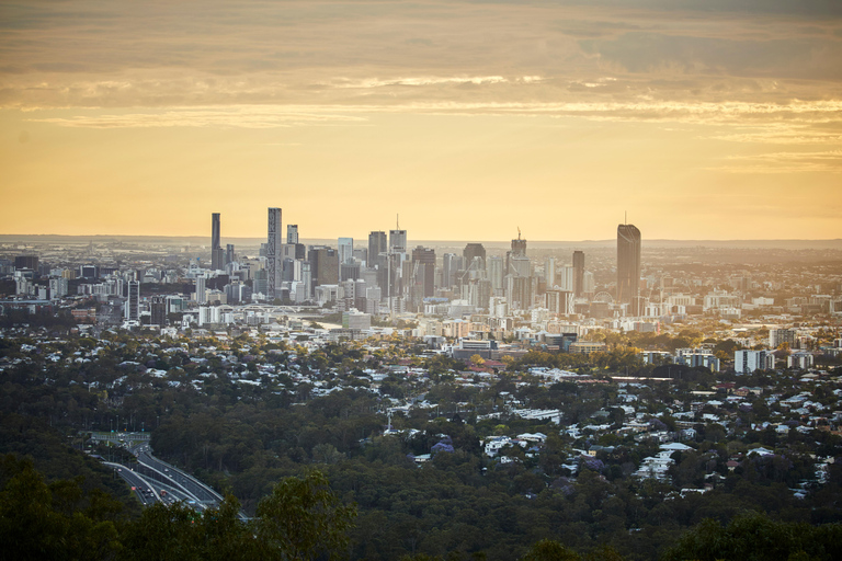 Brisbane: City Highlights and Mount Coot-tha Tour