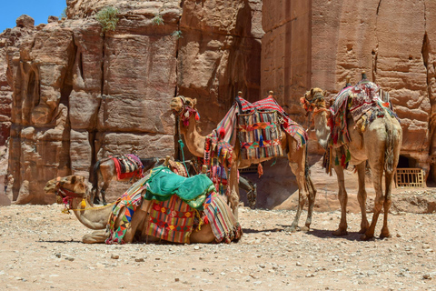 Da Amman: Tour privato di un giorno a Petra e Wadi RumTrasporto con tour in jeep