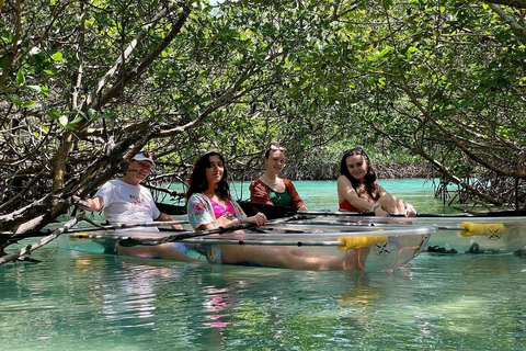 Fort Pierce: Clear Kayak Tour with Wildlife Sightings