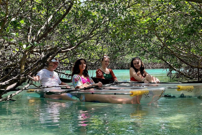 Fort Pierce: Clear Kayak Tour with Wildlife Sightings